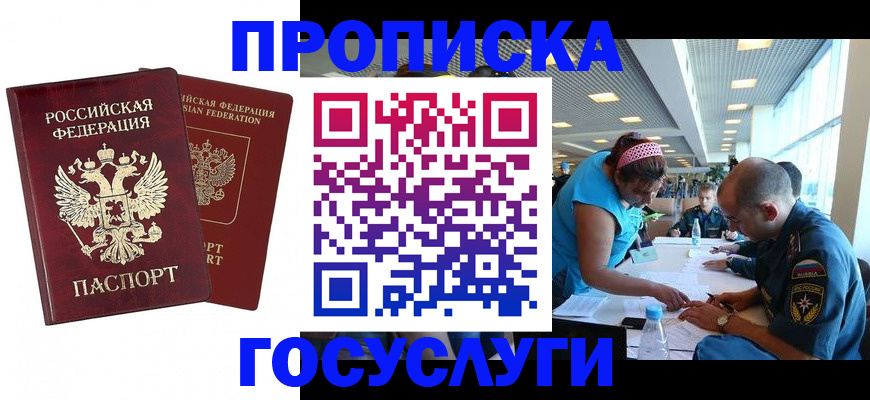 прописка поиск в Новозыбкове